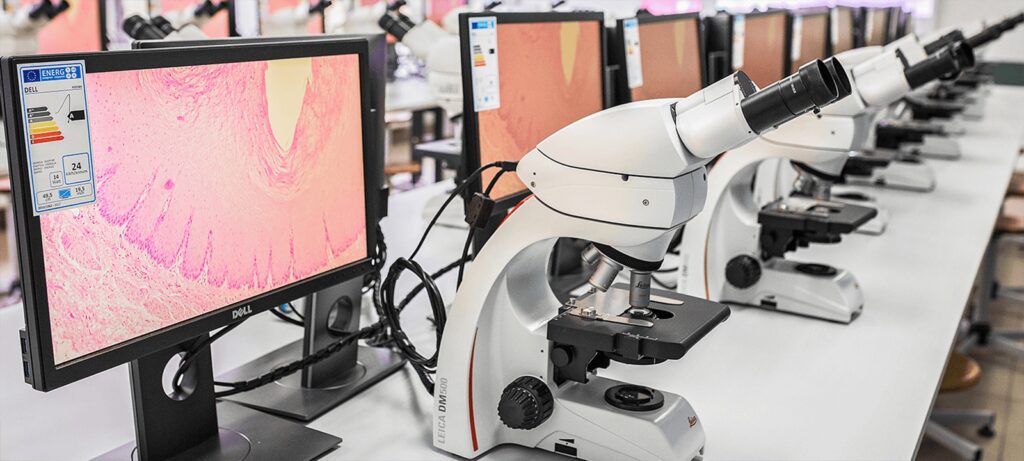 Detailansicht einer Mikroskop-Arbeitsstation mit synchronisierten Monitoren, gesteuert durch das Alphadidact-System.